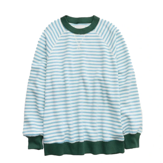 Aerie Go-To Boyfriend Sweatshirt WAAC